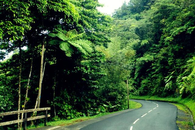 Route de la Trace, Martinique