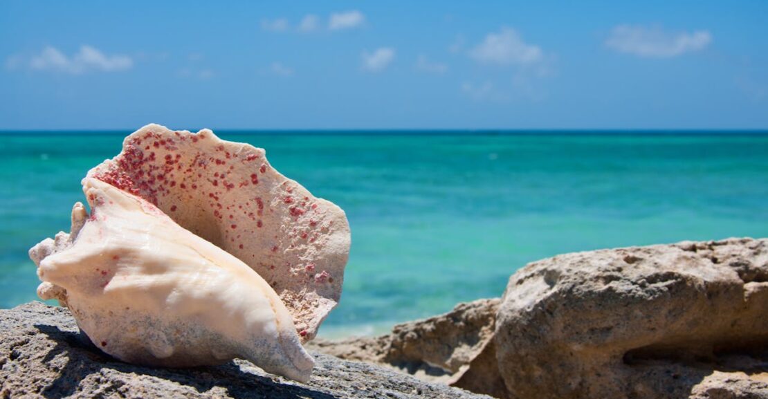 best time to visit turks caicos