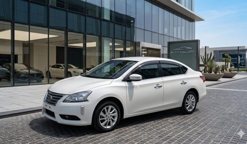 turks car rental